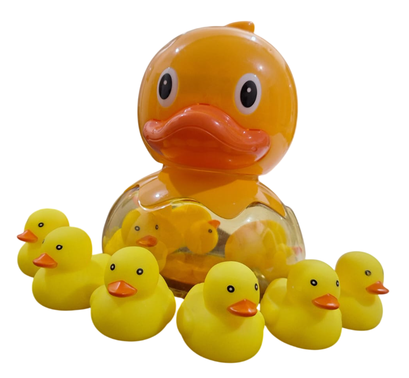 Duck jar